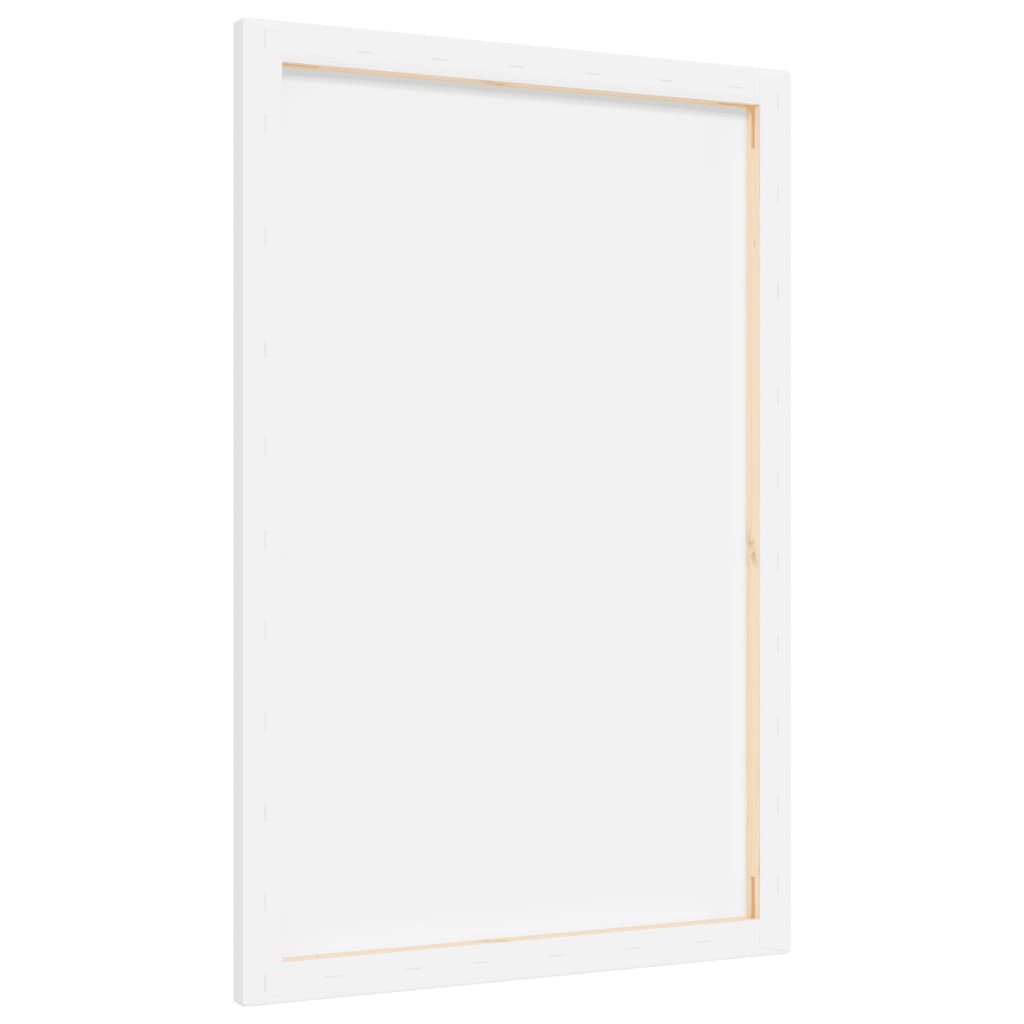Stretched Canvases 12 pcs White Fabric and Solid Wood Pine