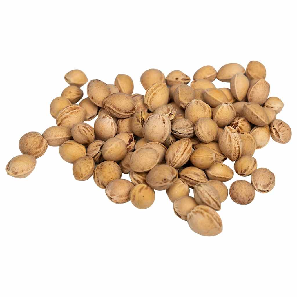 Cherry Stones for Heat Cushion 11.0 lb