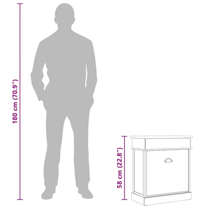 Shoe Cabinet Gray 19.7"x11"x22.8" Paulownia Wood