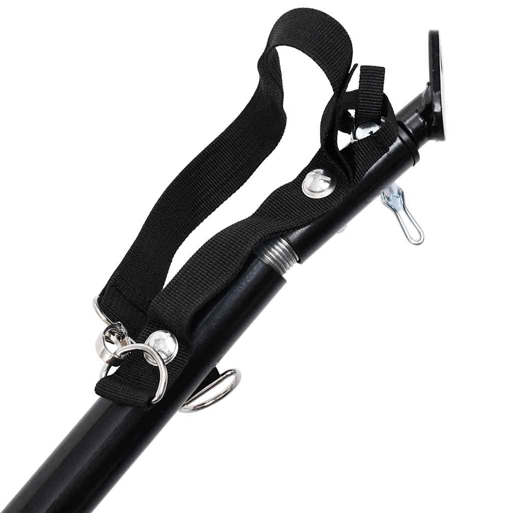 Pet Bike Trailer Blue and Black