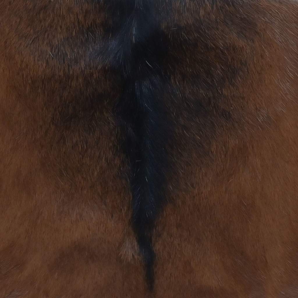 Folding Stool Brown Real goat leather, solid teak wood Medium