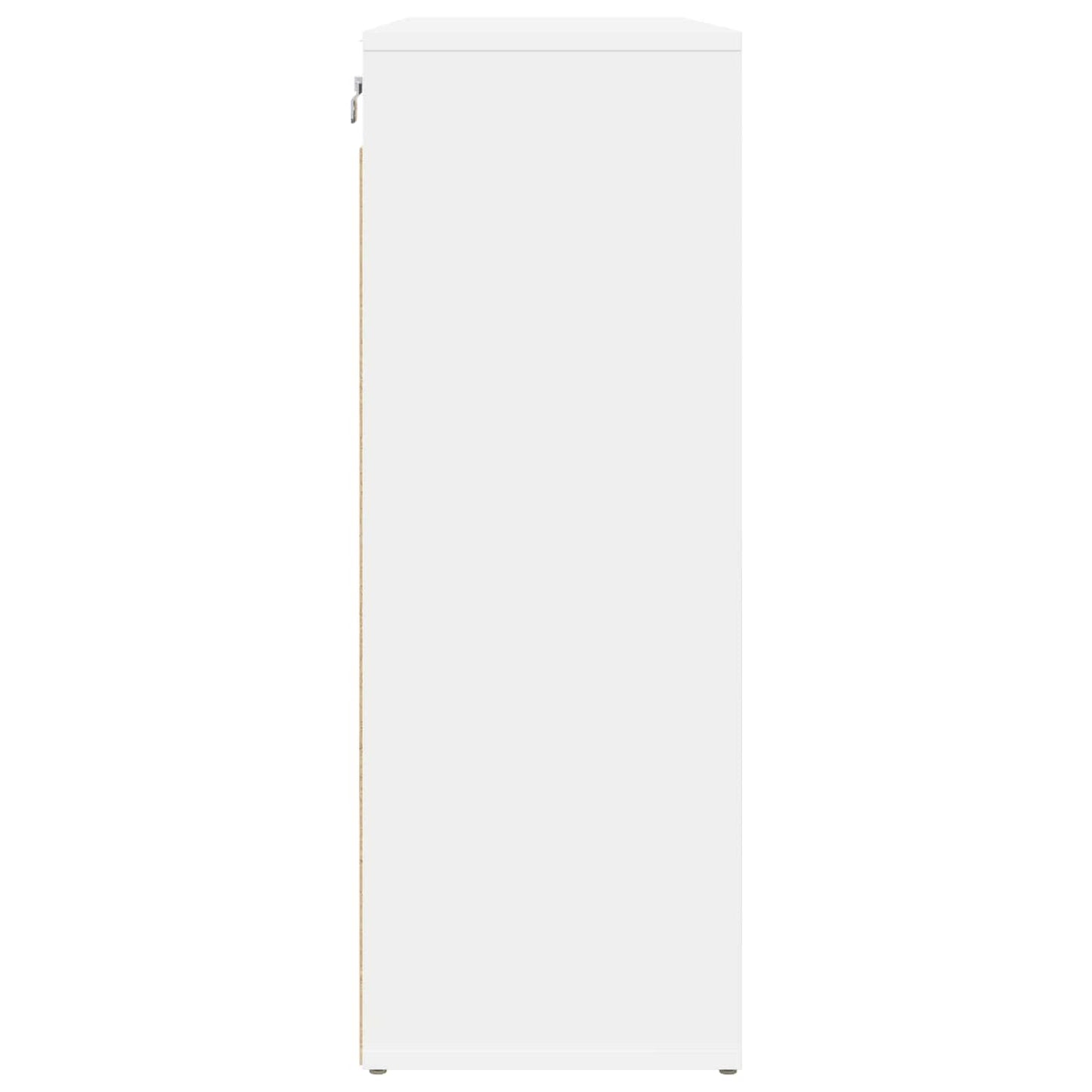 Shoe Cabinet White 30.51 x 11.81 x 32.87 in Engineered Wood