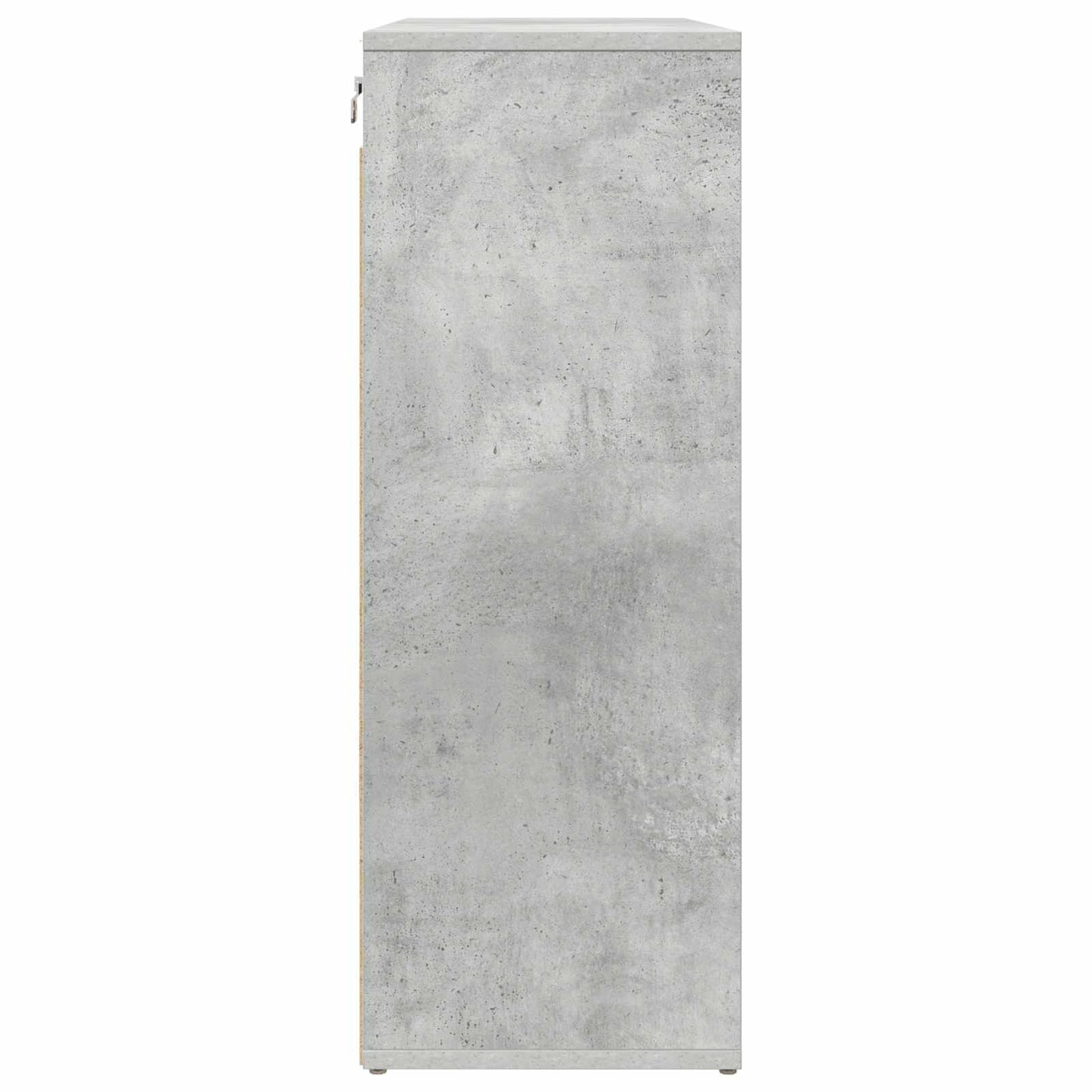 Shoe Cabinet with Shelf Concrete grey 30.51 x 11.81 x 32.87 in