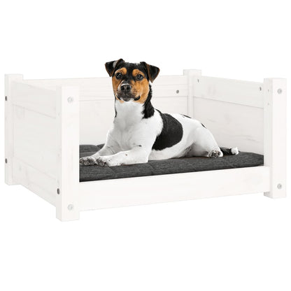 Dog Bed White Solid pine wood 21.9 x 17.9 x 11.0 in