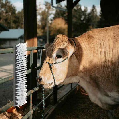 Cattle Brushes Black and White 50 x 10 x 6.5 cm