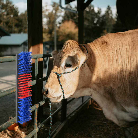 Cattle Brushes Red and Blue 50 x 10 x 6.5 cm Plastic and Steel