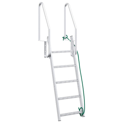 5-Step Dock Ladder Silver 22.83 x 30.31 x 75.20 in Aluminium
